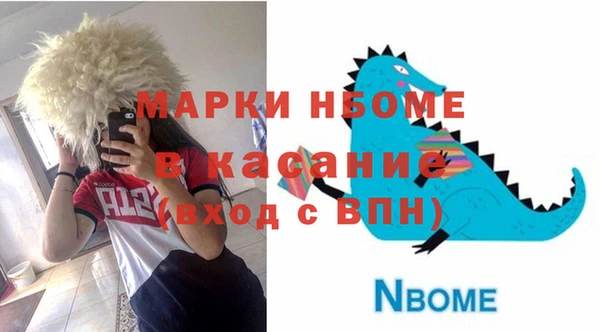хмурый Протвино