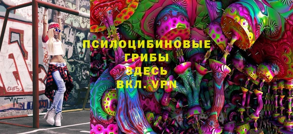гашик Приозерск