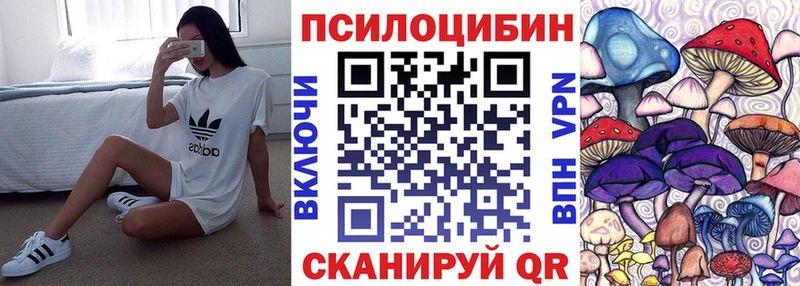 блэк спрут ссылки  как найти   Нахабино  Псилоцибиновые грибы Psilocybe 